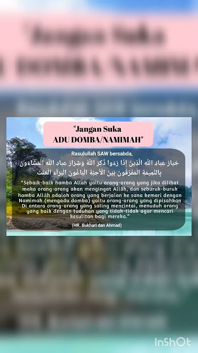 'Jangan suka ADU DOMBA' #shorts #motivation #quotes