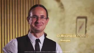 Guillaume Reynaud - Oenologue