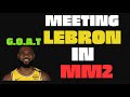 LEBRON JAMES JOINED MY MM2 LOBBY… What Happens Next Is INSANE 😱🏀