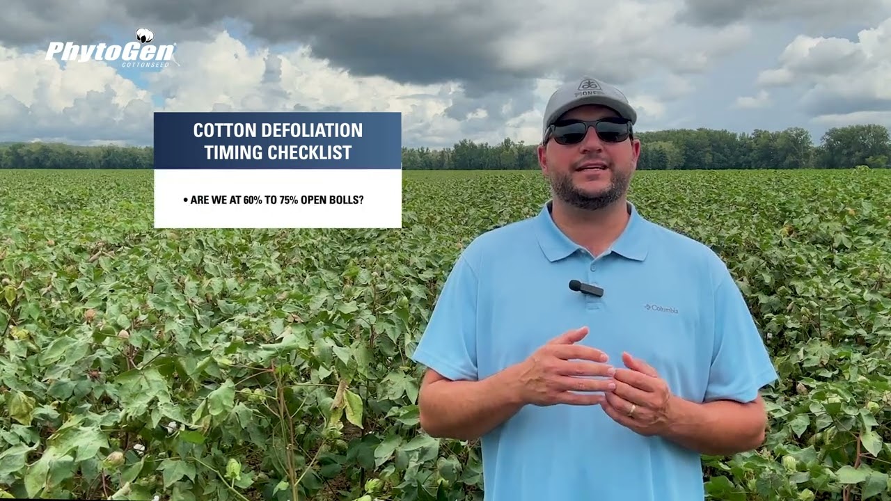 Cotton Defoliation Timing: Breakdown & Checklist