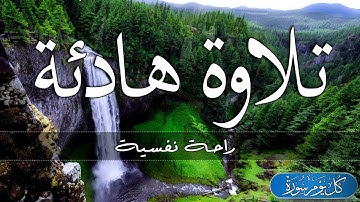 تلاوة هادئة تريح الاعصاب💚 قران كريم بصوت جميل جدا جدا | سورة مريم