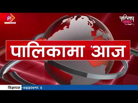 पालिकामा दिनभरः कृष्णनगरमा झाडापखालाको महामारी, फलामे हलोले जोतिने भए खेतबारी (भिडियो खबर)