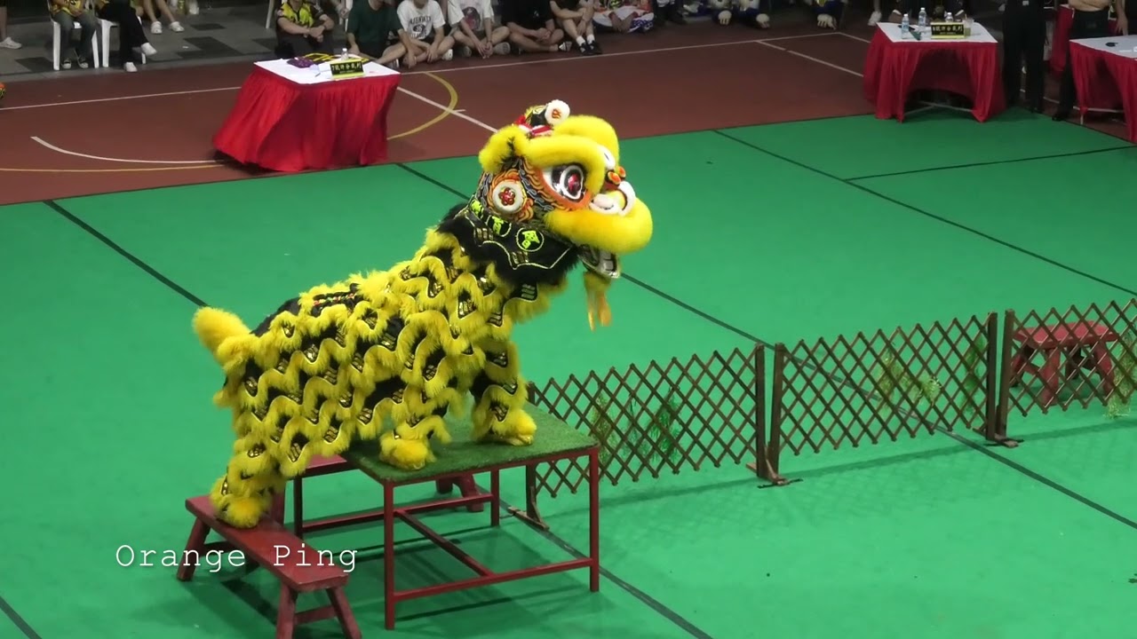 新加坡弘徳龙狮体育会 A队 HongDe Dragon & Lion Dance Association