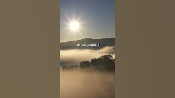 تلاوة عطرة مباركة 🤲 بصوت هادئ يريح القلب ما شاء الله من سورة الزمر