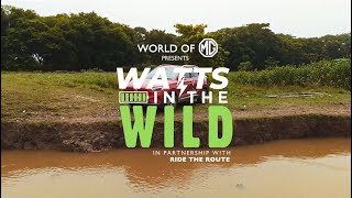 World Of Mg Watts In The Wild Season 1 Episode 8 Trailer