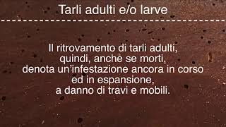 Download Lagu Guida per scoprire e riconoscere la presenza di tarli del legno MP3