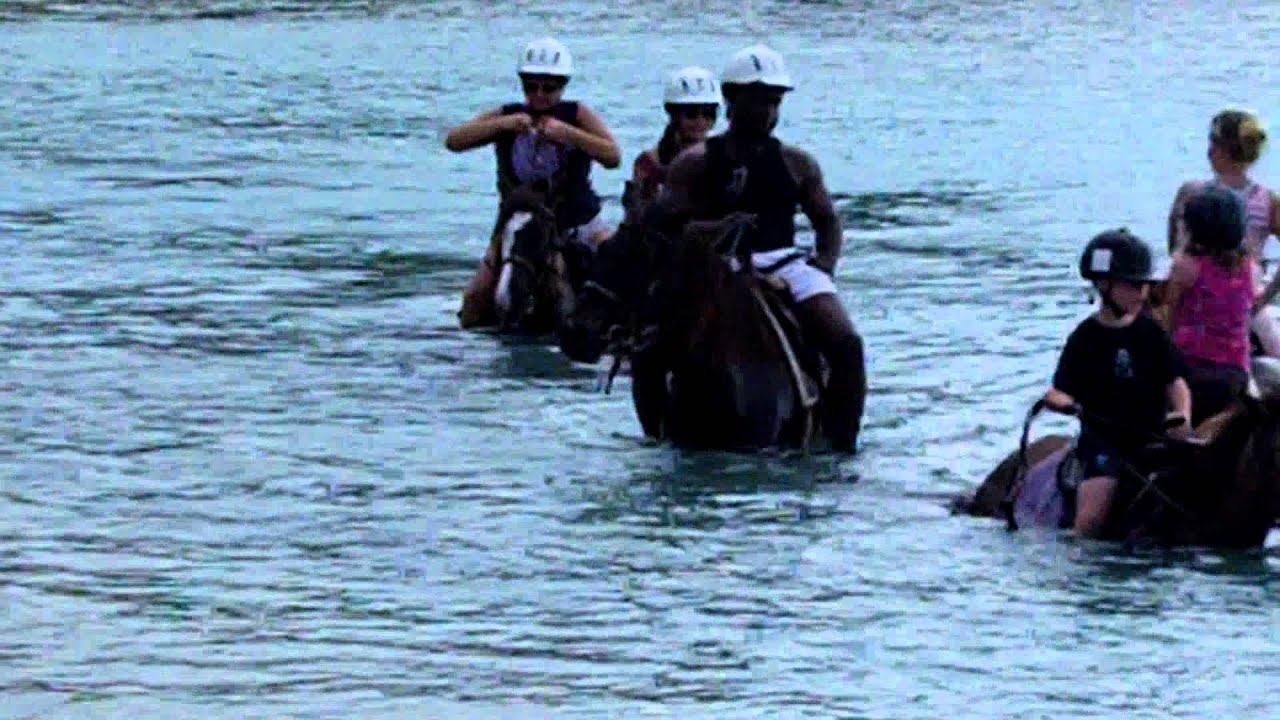riding horses in water 2 YouTube