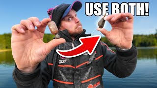 MAGGOT FEEDER MASTERCLASS, Catch More NOW!