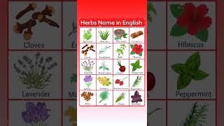 Herbs Name in English With Picture  | Kids Vocabulary 