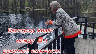 Белгород сегодня/Жизнь между 🚨 сигналами о ракетной опасности/ Посылка📦/Посадила огород