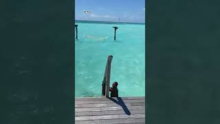 Hem Sınırsız Hem De Nefes Kesici Tropik Manzaralar Ile Maldivlere Gitmek Hotel Maldives