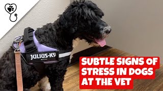 Subtle Signs of Stress in Dogs at the Vet by FurLife 82 views 2 months ago 1 minute, 6 seconds