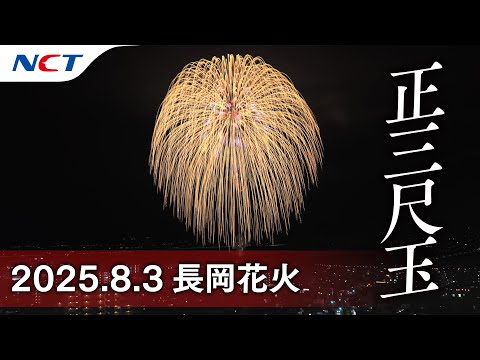【クマさん専用】長岡大花火(25年玉皮ほか) 速報・2025長岡花火】正三尺玉［2025.08.02］｜Nagaoka