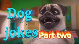 Dog jokes part two | Mighty Mike Songs