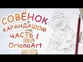 Рисую СОВЁНКА карандашом ► OrionaArt ♥ Рисуем вместе!