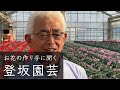 【シクラメンのつくり手に聞く】登坂初夫さん(登坂園芸) お花の生産者インタビュー シクラメンの育て方・管理の方法(群馬県 吾妻郡)