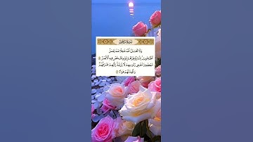 سورة إبراهيم / الشيخ أحمد النفيس / تلاوة خاشعة ومؤثرة راحة نفسية