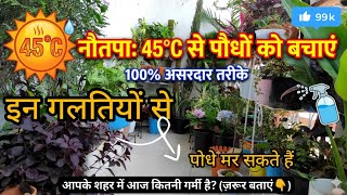 मरते हुए पौधों को कैसे बचाएं? ☀️45°C Heatwave Survival Guide for Plants! #viral 🔥