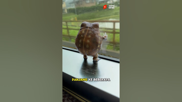 Proses Katak Dari Telur Hingga Dewasa Yang Lucu