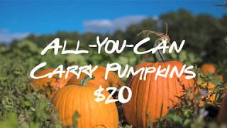 Información All You Can Carry Pumpkins! Guía