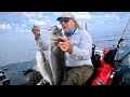 Fishing sea bass  double attack  kayak fishing   tenya and eging  baleal