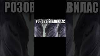 Розовый Вавилас... #Мемы #Shorts #Розовыйвавилас