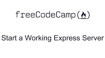 Start a Working Express Server - Basic Node and Express - Free Code Camp