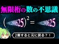 【無限桁】2乗すると元に戻る数