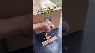 Celebrity Why don't I get this idea before 😨 #shorts Profile