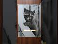 Raccoon hyper realistic drawing. #realistic #drawing #shorts