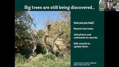 Recording Ancient Trees