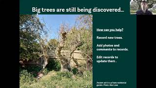 Recording Ancient Trees