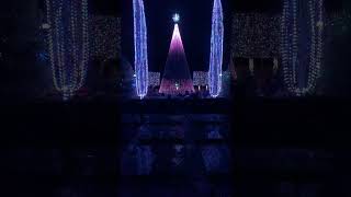 Winter lights festival in Asheville North Carolina  #asheville #christmaslights #northcarolina ￼