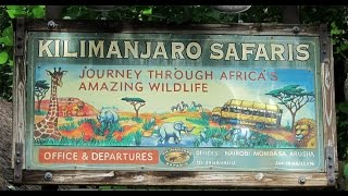 Disney Animal Kingdom Breakfast and Kilimanjaro Safari (May 2004)