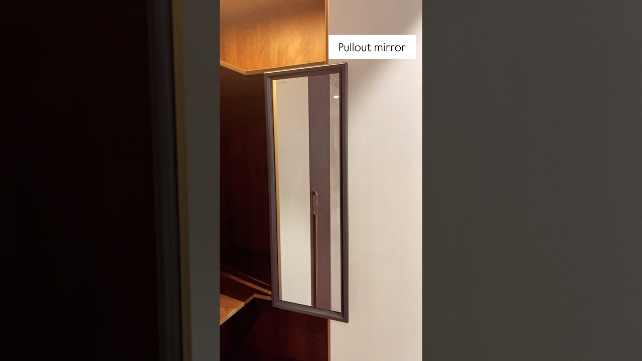 Wardrobe pullout mirror 