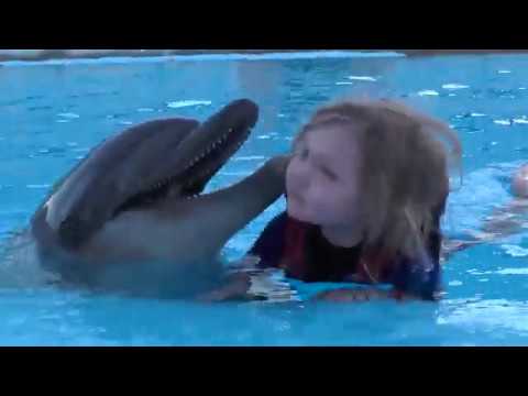 Video: Kur Peldēties Ar Delfīniem Maskavā