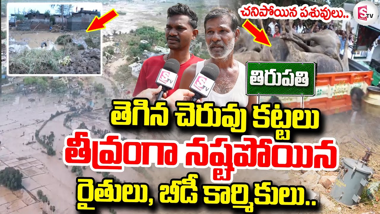 తెగిన చెరువు కట్టలు.. నష్టపోయిన రైతులు.. || Victims About Heavy Floods In Kalathur Village
