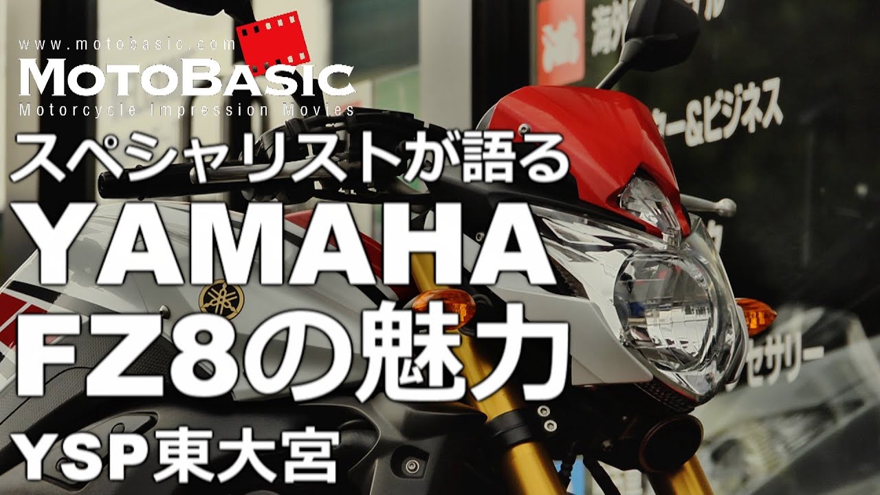 The Appeal of the YAMAHA FZ8