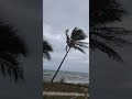 Cold Front hits SW Florida with brutal N Winds #weatherreport #winterweather #coldfront