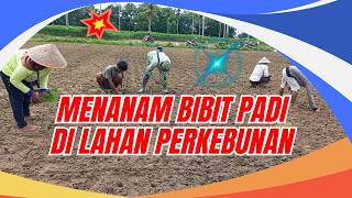 Download Lagu TASYA ROSMALA - SEBUJUR BANGKAI, MALAM || OM ADELLA FULL ALBUM TERBARU 2025 MP3