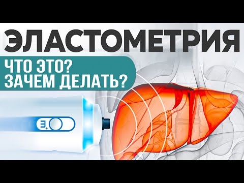 Главные шаги для успешного лечения ГЕПАТИТА Б