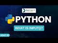 What is input() in Python? | User Input Explained | Day 3 Python Series