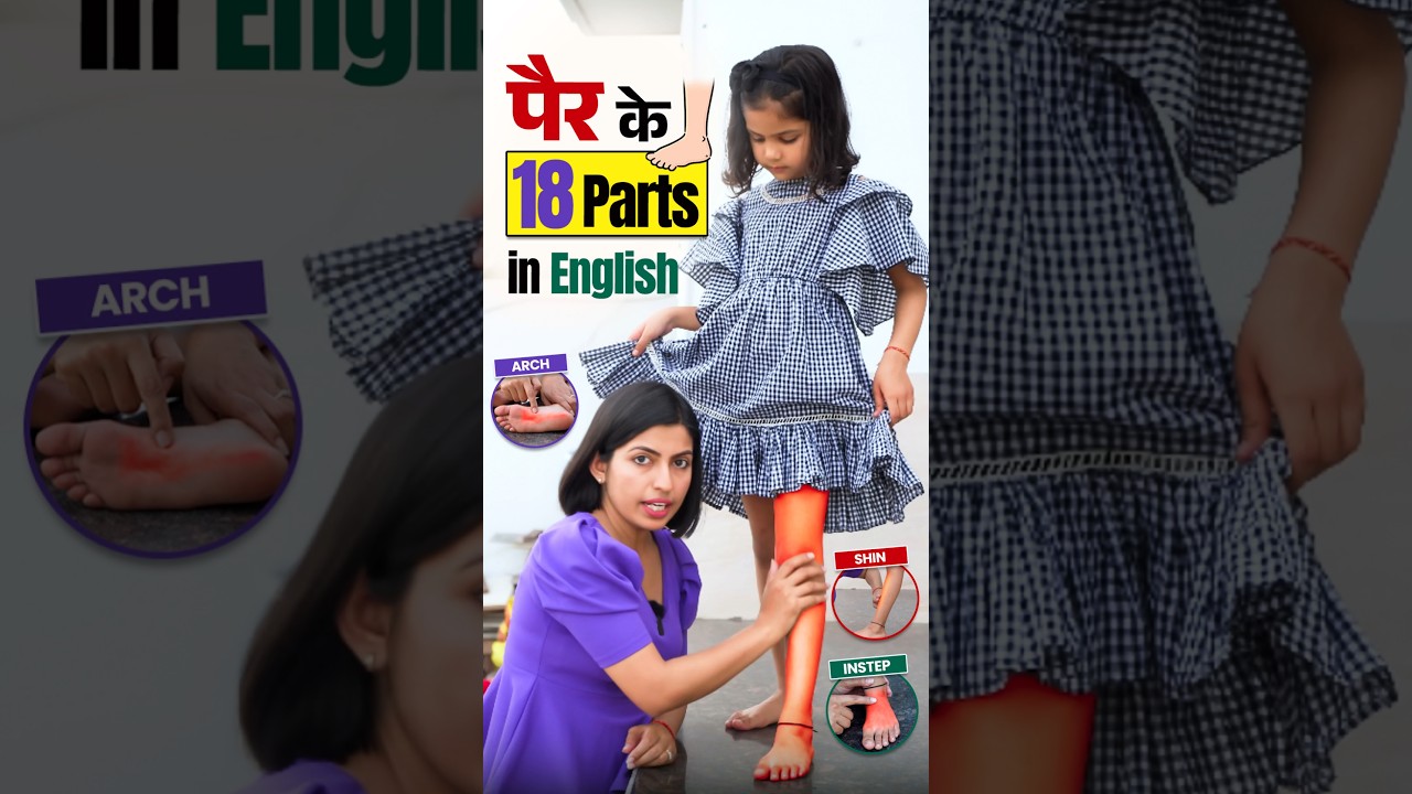 18 Parts of a Leg in English 👣 | Body Parts Vocabulary | Adi & Kanchan | English Connection #shorts