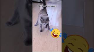 Top Dog &amp; Cat Fails - CUTE 😂🐶🐱 (Part 76)