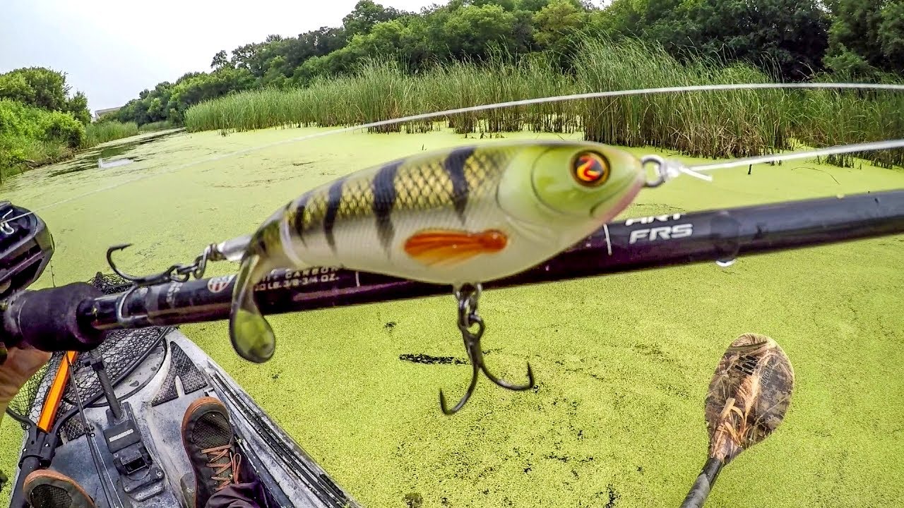 Громадные болотные монстры!