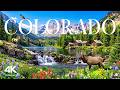 Colorado 4K | Springtime in the Rockies – Flower-Covered Valleys &amp; Clear Blue Horizons