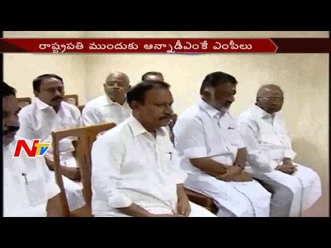 Celebrities Support Jallikattu || Panneerselvam to meet PM Modi || NTV