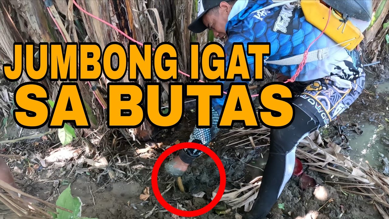 Mga jumbong igat napalabas namin sa kuta kakatakot ang laki?