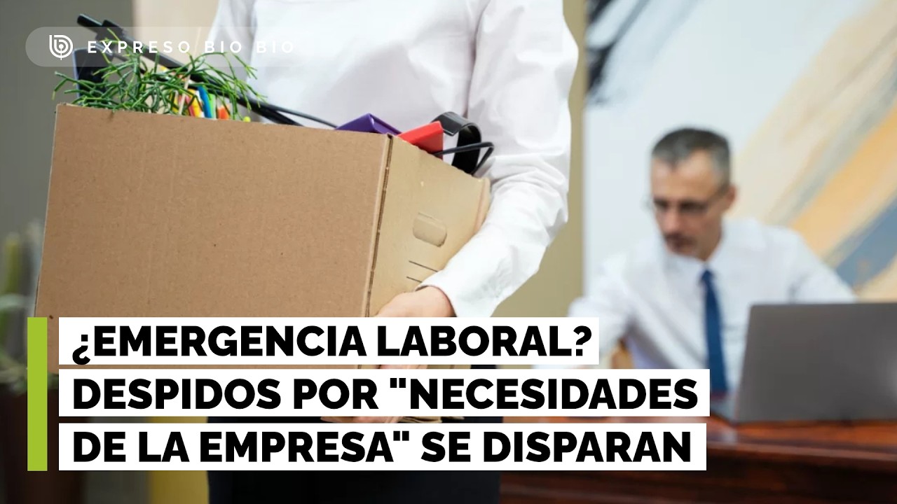 ¿Emergencia laboral? Despidos por 