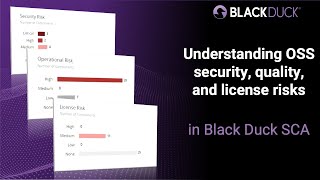 Understanding OSS security, quality, and license risks in Black Duck SCA | Black Duck